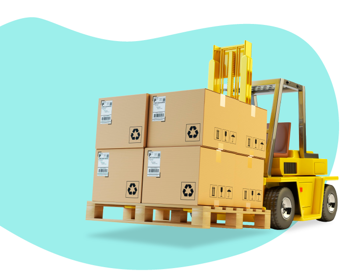 Imagen División Pallets